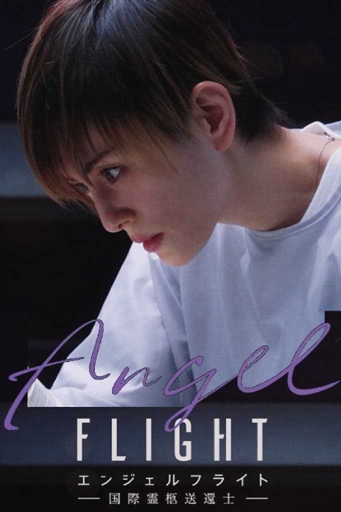 Angel FlightHình bìa