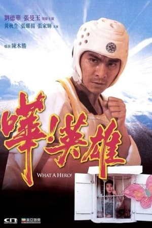 Anh Hùng Thứ ThiệtHình bìa