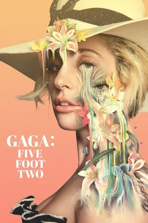 Lady Gaga: Nước Mắt Và Vinh QuangHình bìa