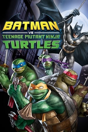 Liên Minh Người Dơi Và Ninja RùaHình bìa