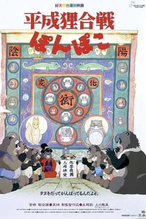 Cuộc Chiến Gấu MèoHình bìa
