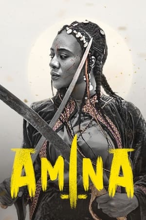 AminaHình bìa