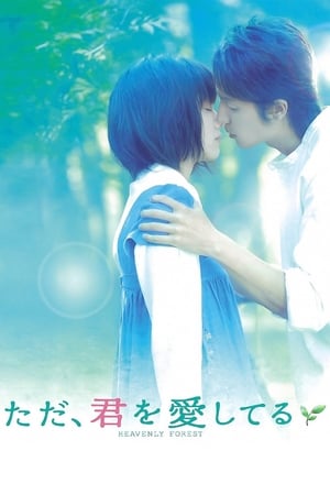Tấm Ảnh Tình YêuHình bìa
