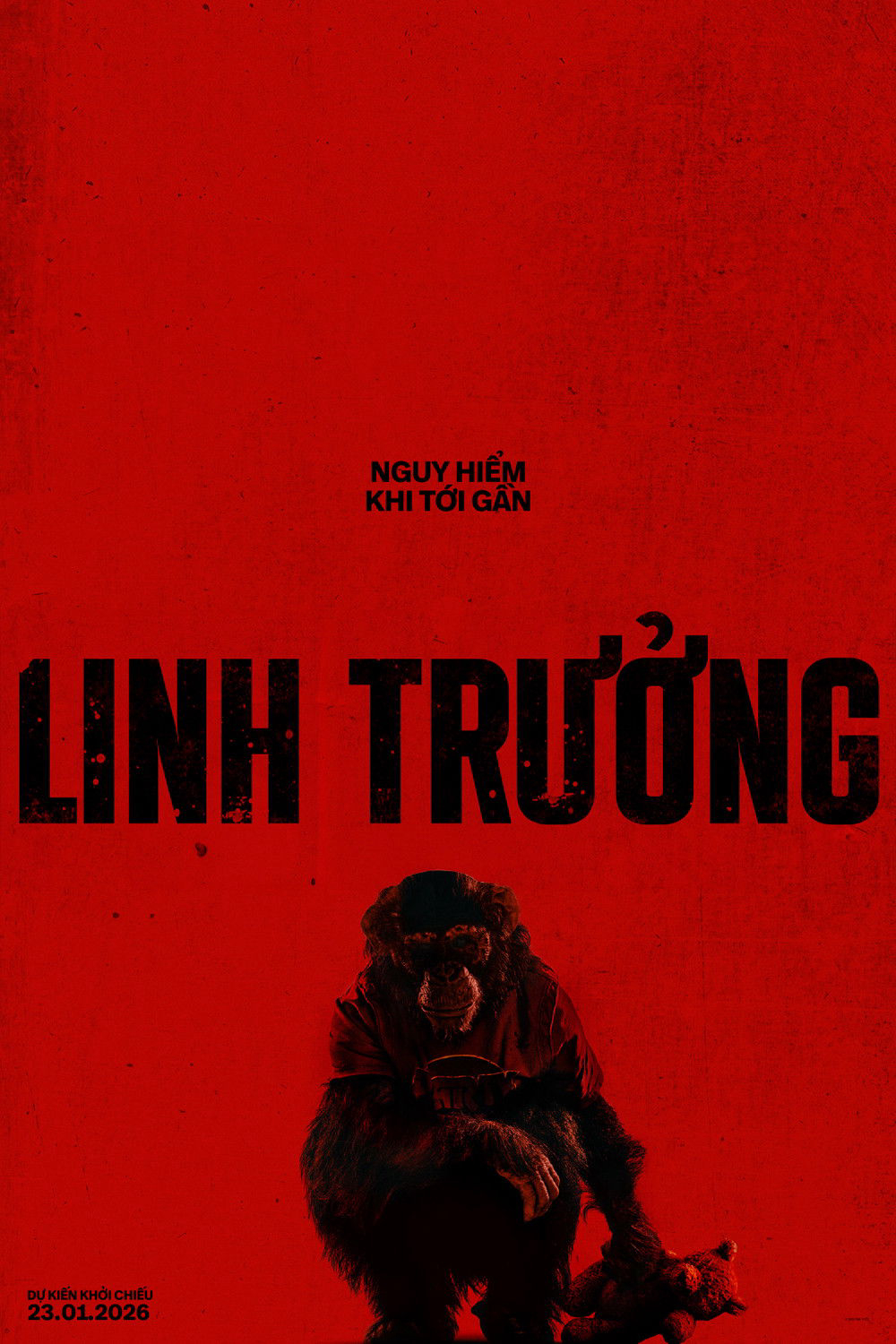 Linh TrưởngHình bìa