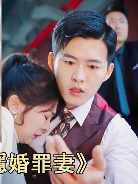 Người Vợ Tội Phạm Bí Mật Của Tổng Giám Đốc CốHình bìa